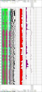 determinacion parametros geofisicos